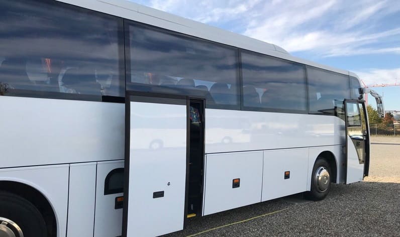 Croatia: Buses order in Pula, Istria