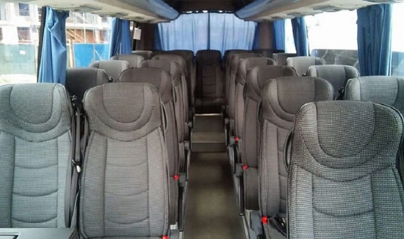 Italy: Coach rental in Emilia-Romagna, Modena
